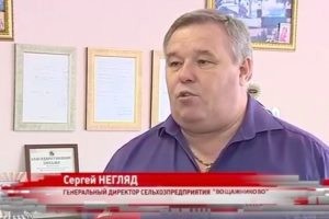 Денис Макеев и Сергей Негляд: Мошенники с большой дороги